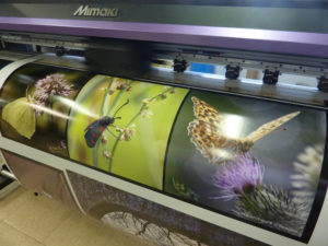 impression-photos-sur-adhésif